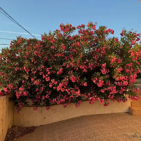 Casa de Férias Casa Vargas *