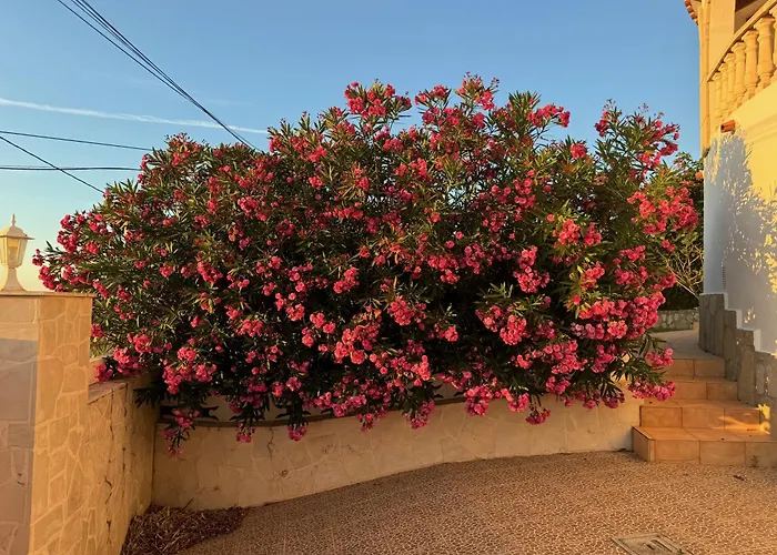 Casa de Férias Casa Vargas *